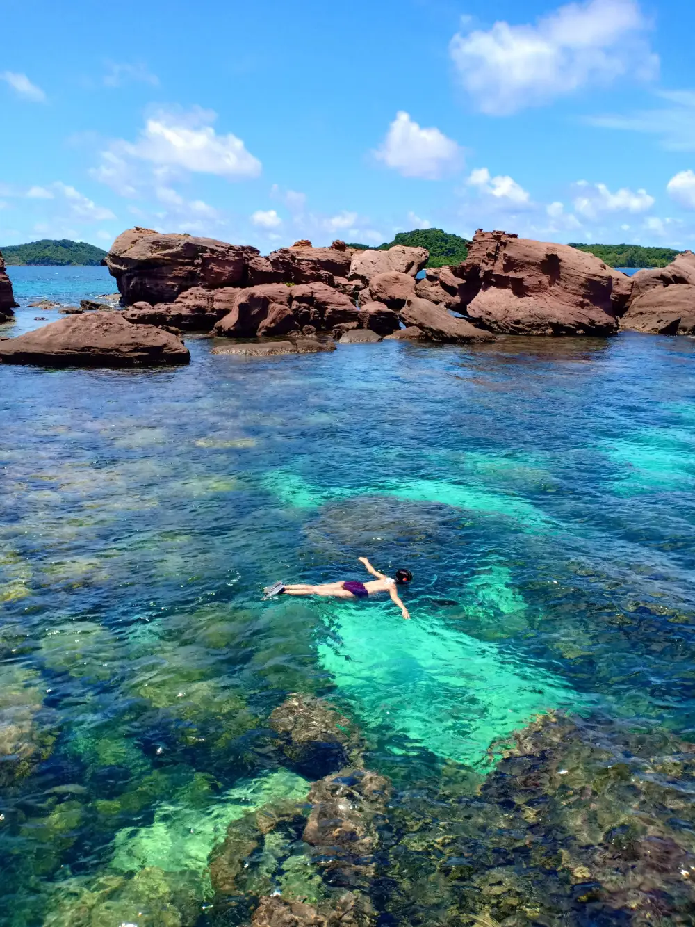 Rach Vem Starfish Beach Tour by Private Car: Full Day - Gallery