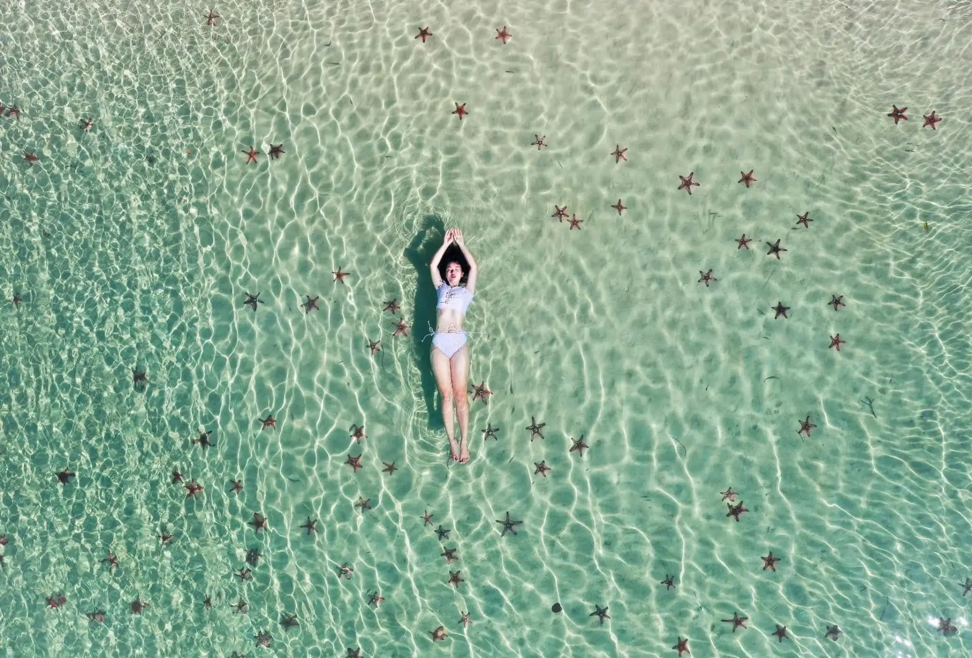 image for Rach Vem Starfish Beach Tour by Private Car: Full Day
