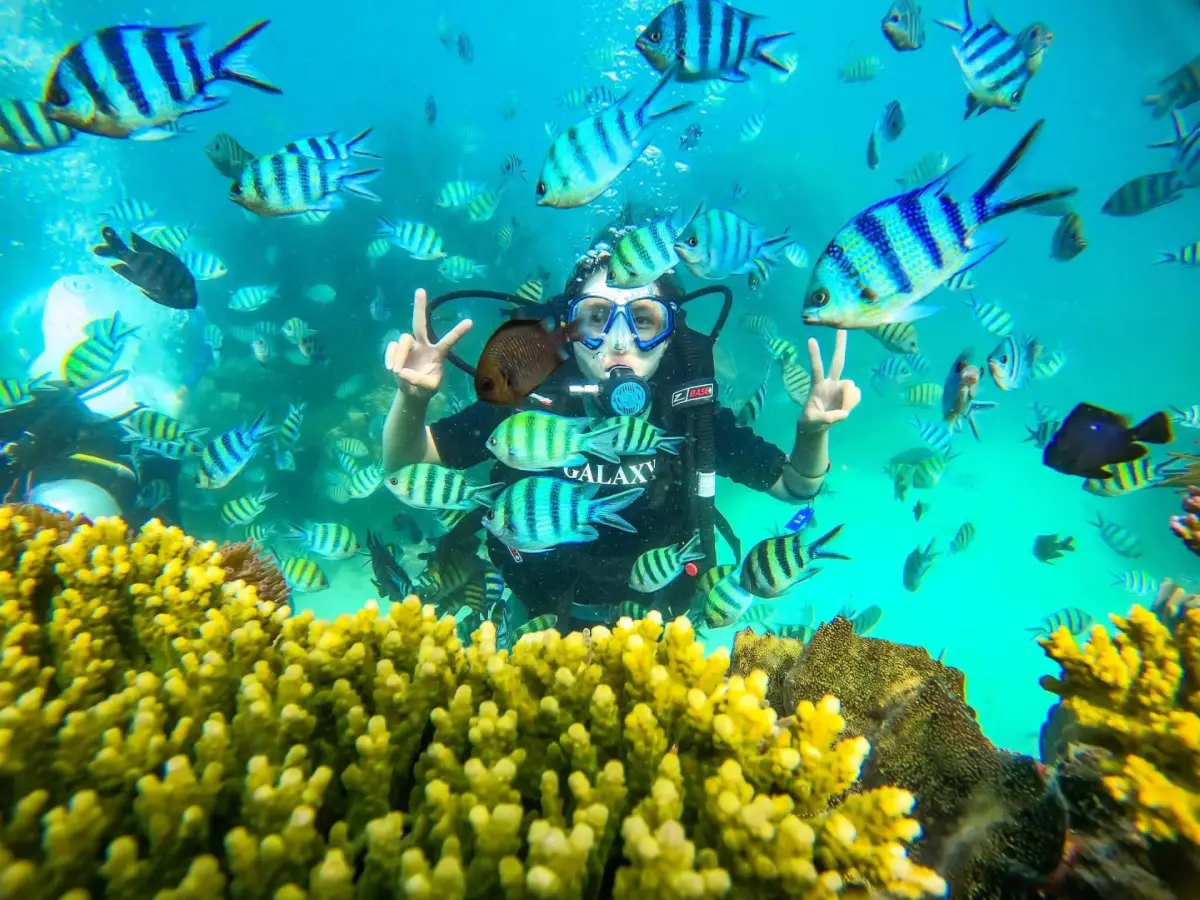 image Itinerary for Phu Quoc Island Scuba Diving: Deep Sea & Marine Life