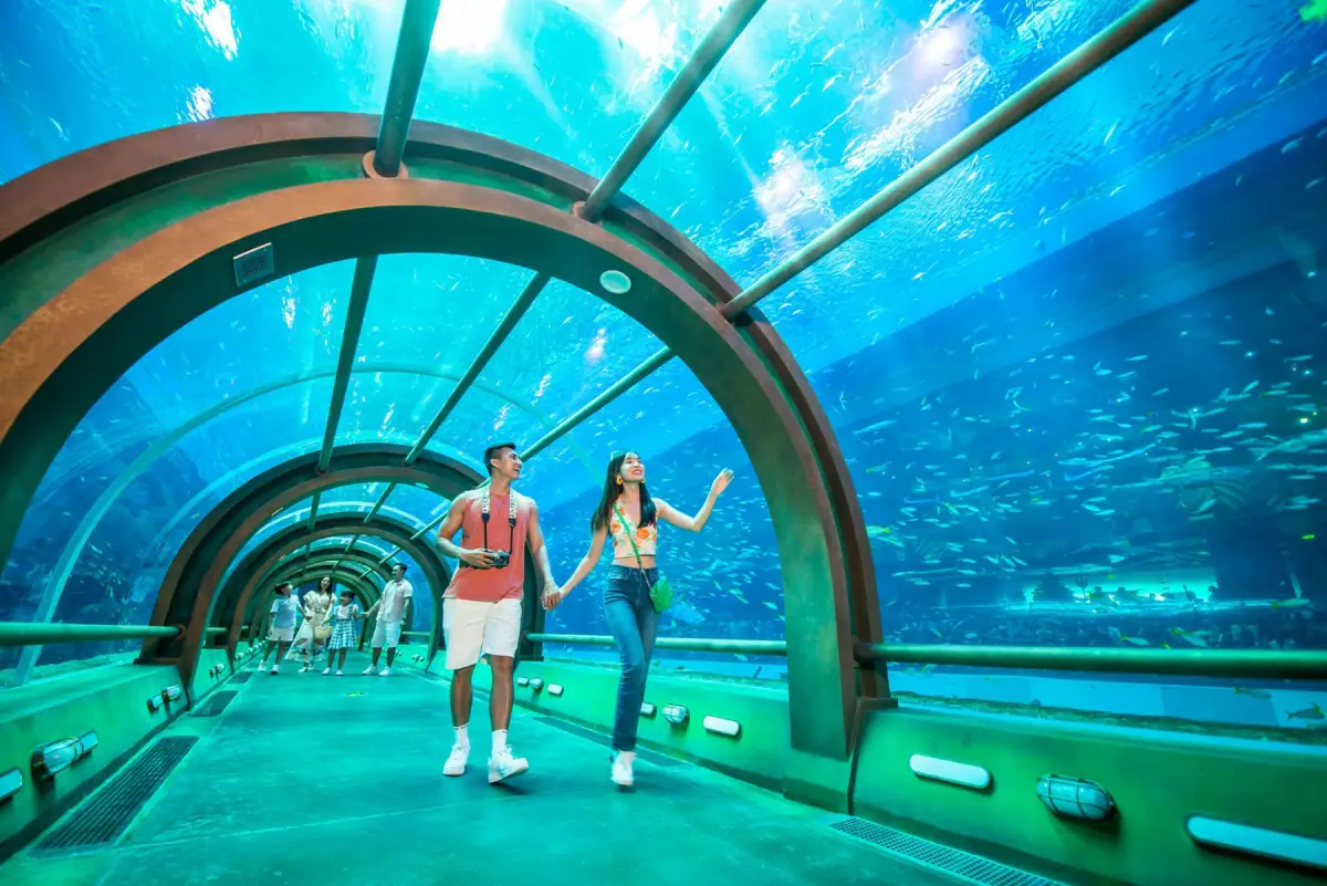 image for Best Vinwonders Phu Quoc Tours: 1-Day Park & Grand World