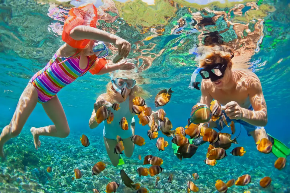 image 2 for Phu Quoc Day Trip